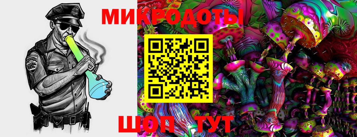 Псилоцибиновые грибы Psilocybine cubensis  Вход с VPN  Шахты 